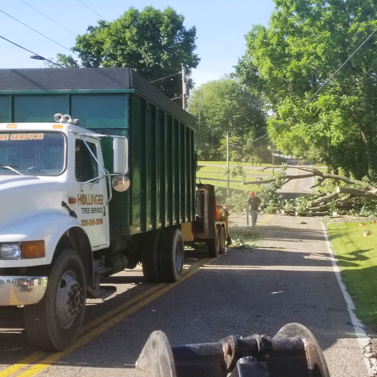 hollinger tree service & landscaping emergency services.