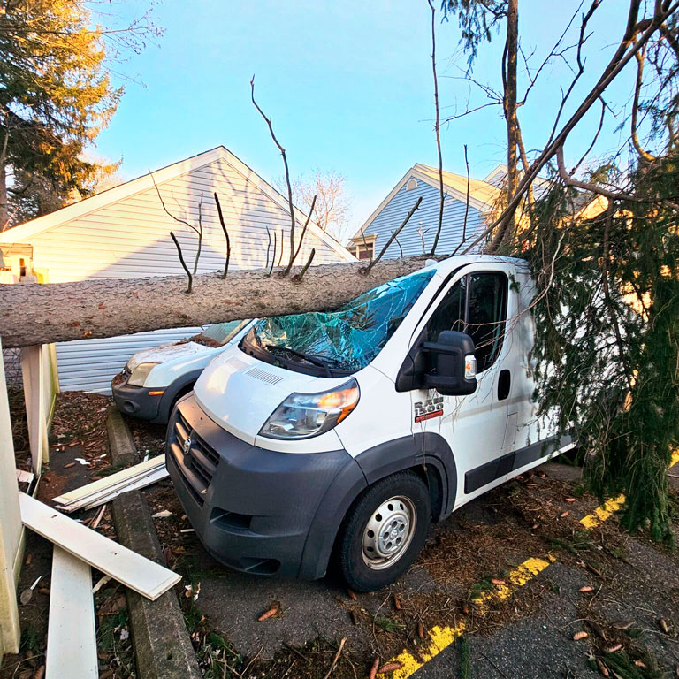 hollinger tree service & landscaping emergency services.