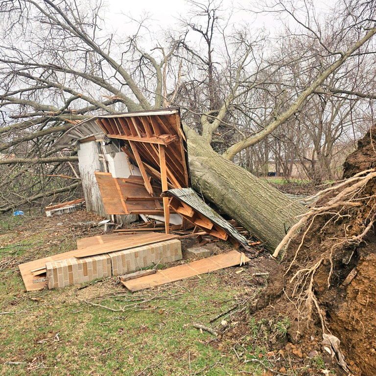 hollinger tree service & landscaping emergency services.