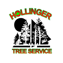 Hollinger Tree Service & Landscaping