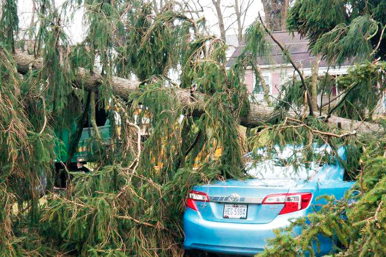 hollinger-emergency-tree-services--storm-damage